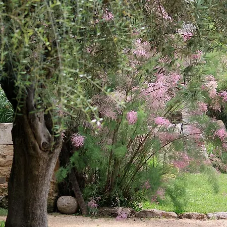 Petit Es Figueral Campos (Mallorca)