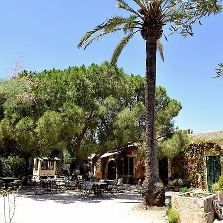 Petit Es Figueral Campos (Mallorca)