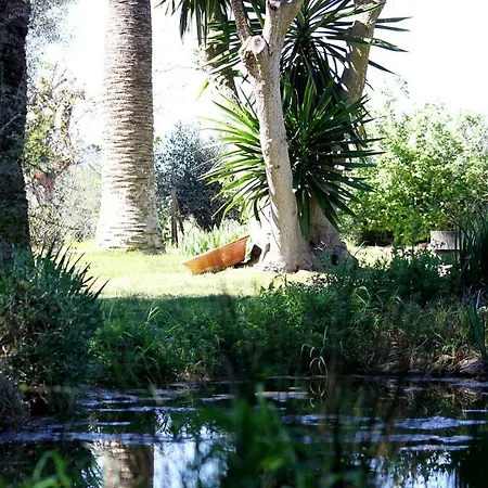 Hotel Petit Es Figueral Campos (Mallorca)