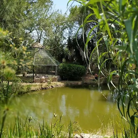 Hotel Petit Es Figueral Campos (Mallorca)